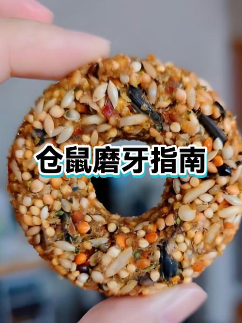 大仓鼠和小仓鼠哪个好养