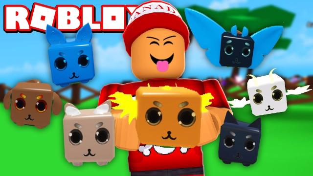 roblox codes