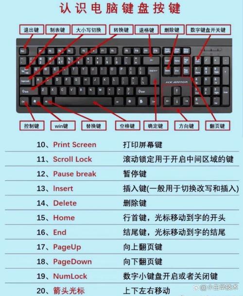 键盘每个按键的作用