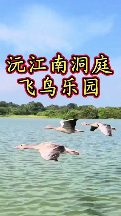 飞鸟乐园门票截图