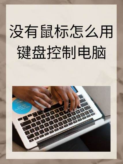 武装突袭3键盘鼠标无响应