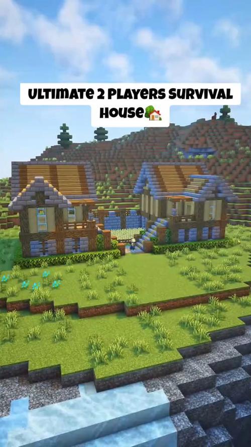 mc双人小屋生存