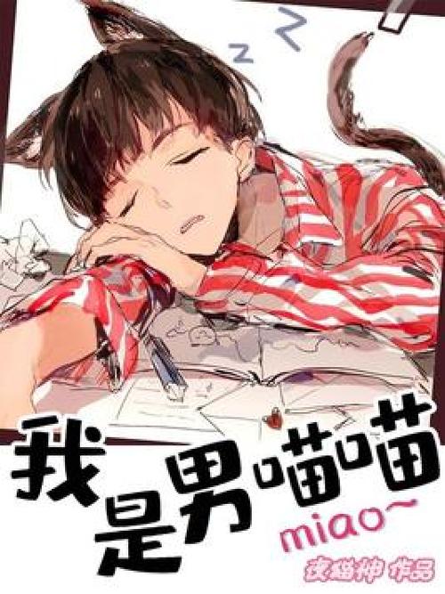 作者喵喵小说在线阅读