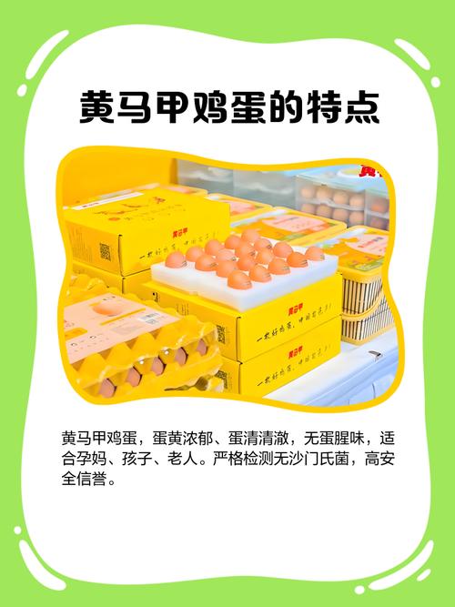 黄马甲鸡蛋好不好