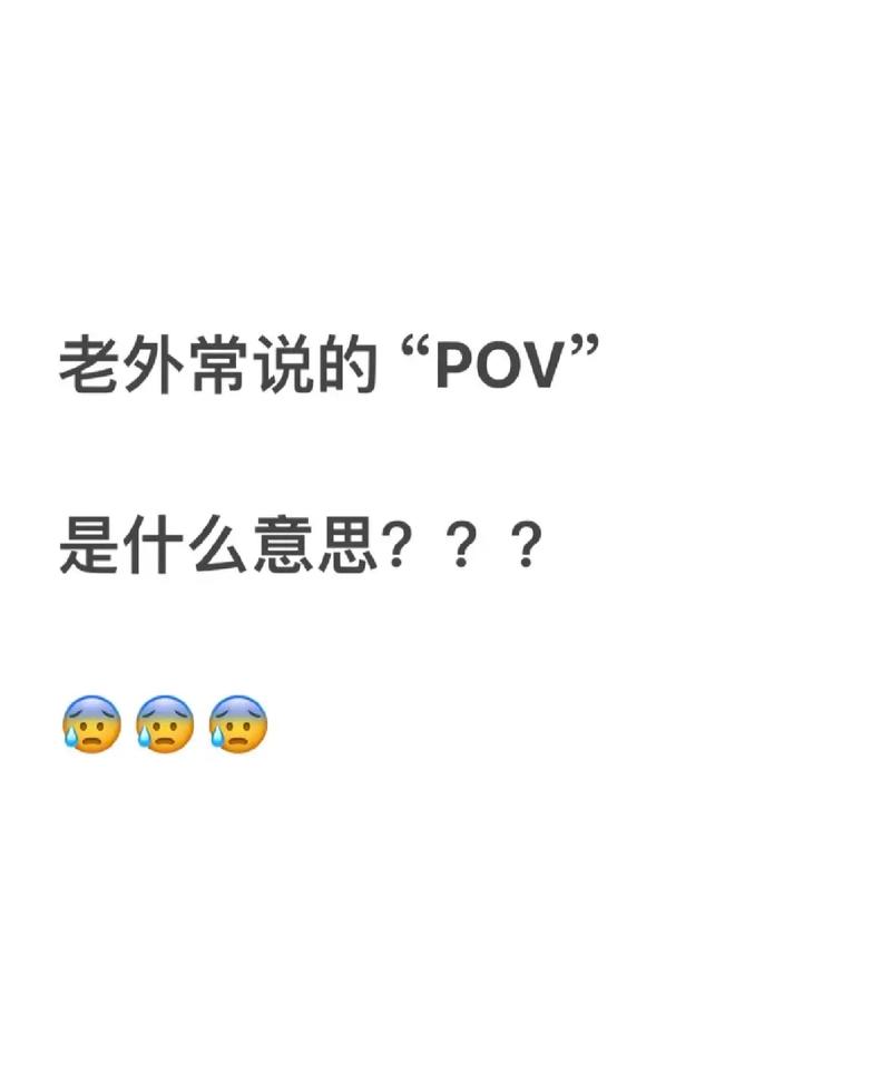 网络词pov