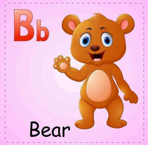 bizzybear英语怎么读