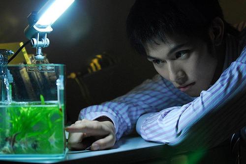 男孩之爱在线观看全集