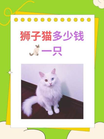 狮子猫多少钱一只