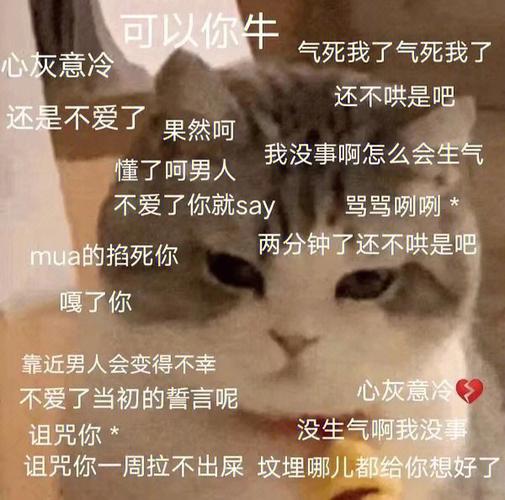 男人不回消息的幽默话