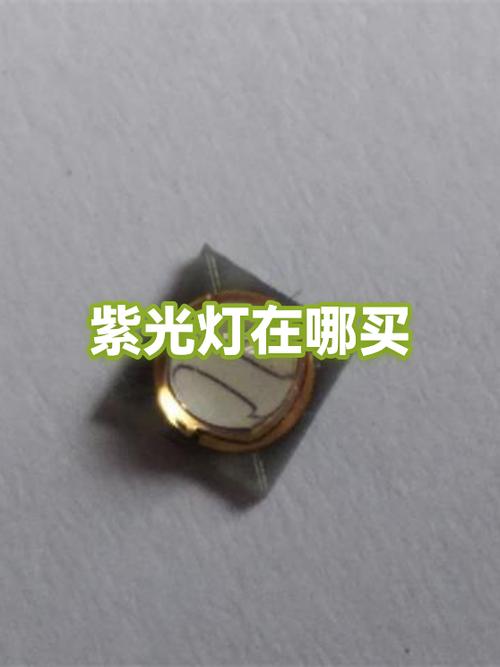紫光灯一般在哪里买游戏截图