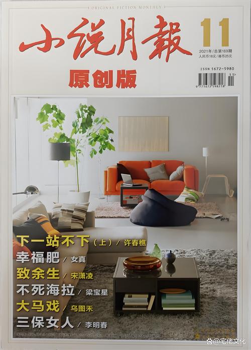 花火杂志出版的小说