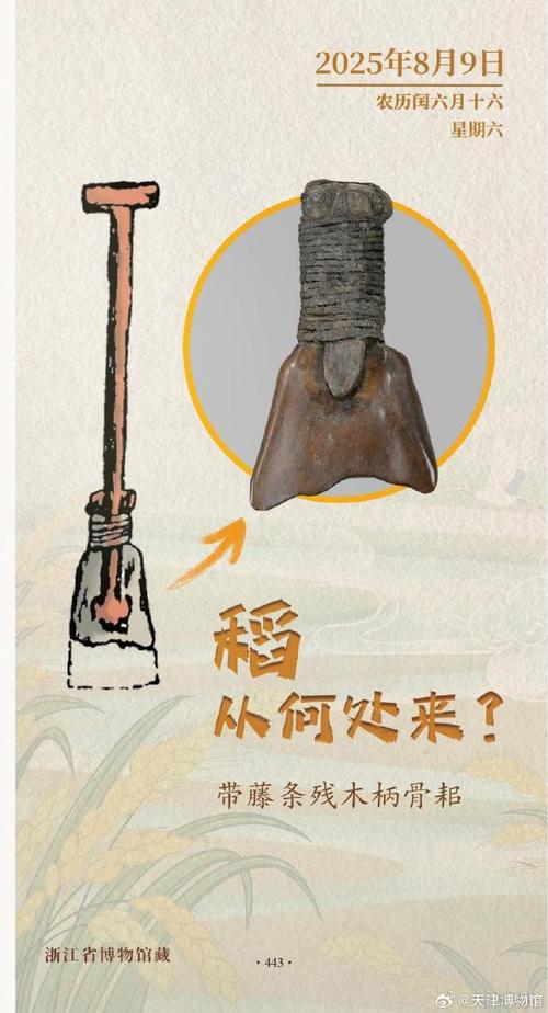 骨碌碌的历史版本