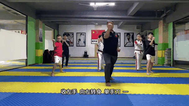太极五章几个动作