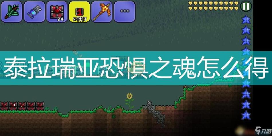 泰拉瑞亚凋零之魂