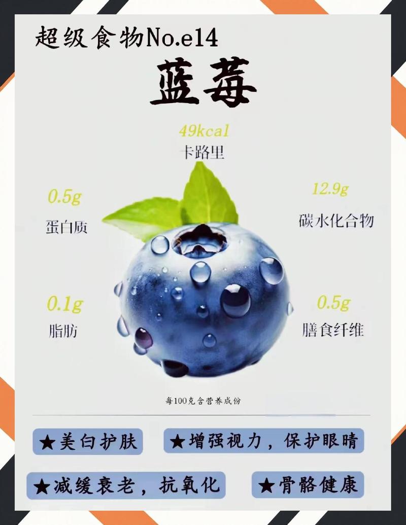 蓝莓介绍