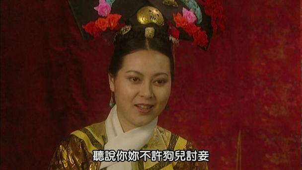 红楼之雍皇禛玉