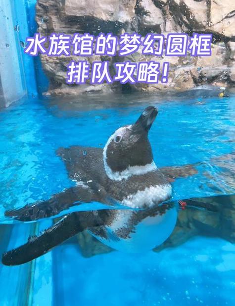 梦幻水族馆攻略