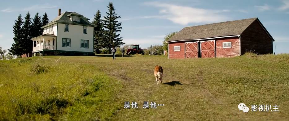 恢复原来的QQ农场