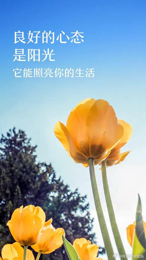 给女朋友备注什么最好含有寓意的游戏截图
