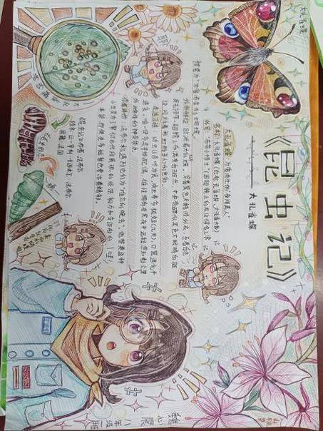 《昆虫记》昆虫档案游戏截图