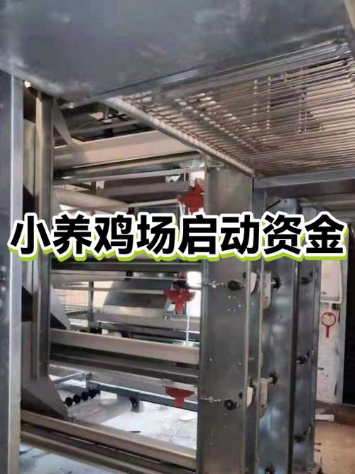 建一个养鸡场大概投资多少钱截图