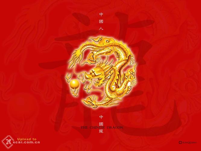 2802神龙论坛