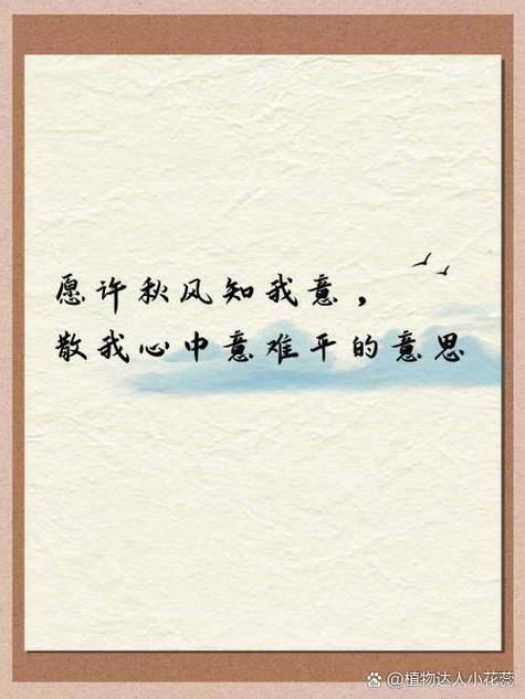 “愿许秋风知我意,散我心中意难平”