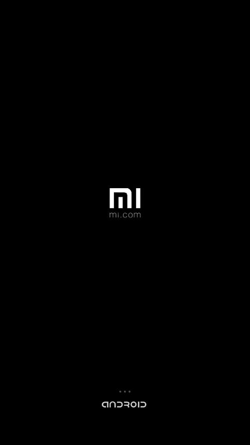 小米开机闪一下图标