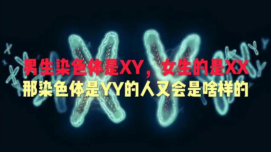 xy是男还是女