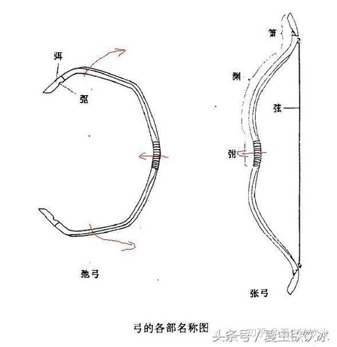 小提琴弓子构造图
