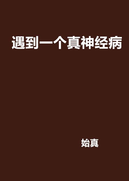 一个精神病的全部小说