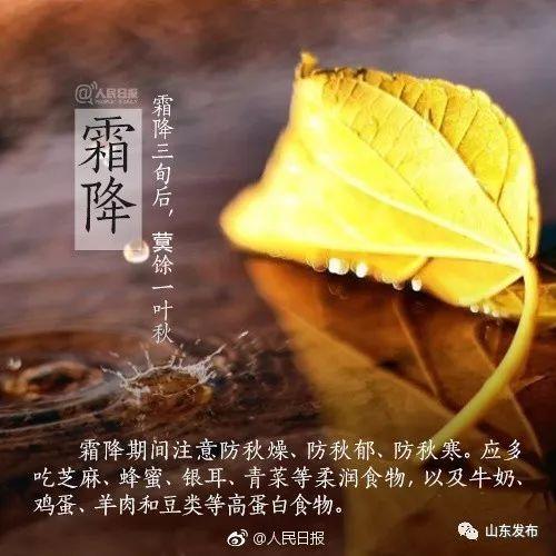 霜降全文阅读