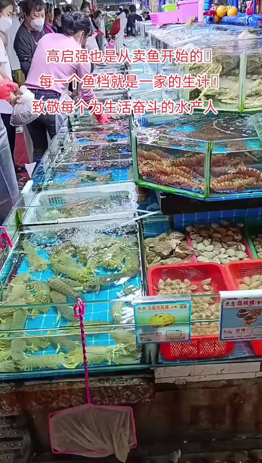 卖鱼朋友圈的句子