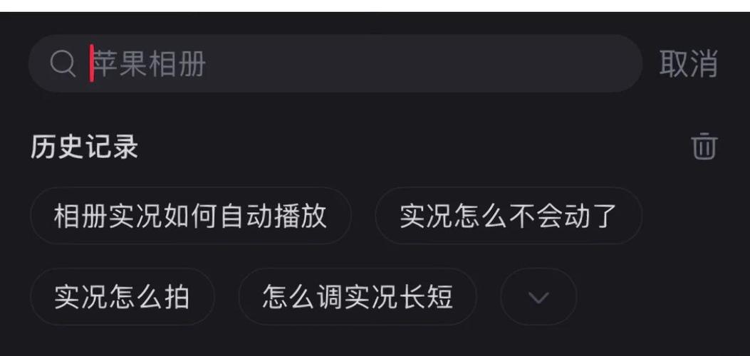 实况照片不动