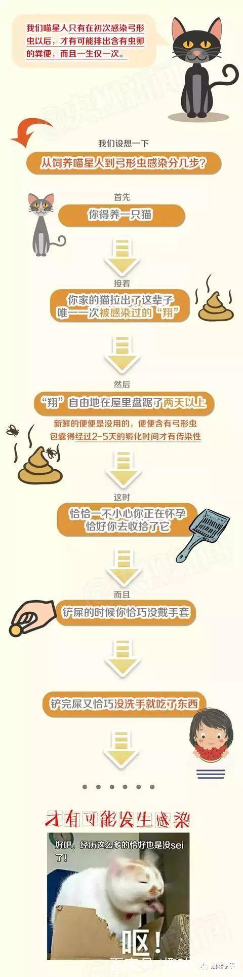 一直养狗怀孕了还能养吗