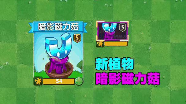 暗影系家族介绍