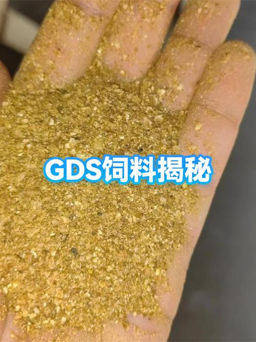 GDS的中文意思