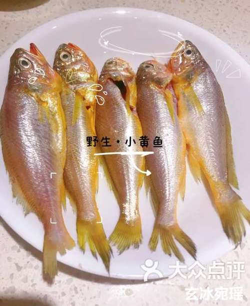 小黄鱼app交易平台