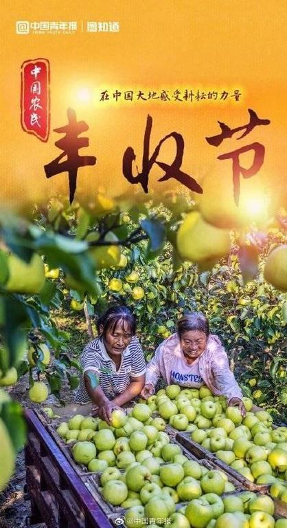 丰食丰收红包版