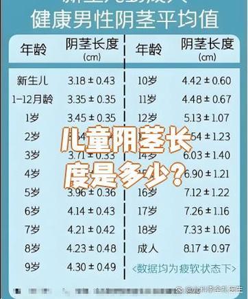 男性一般多少分左右是正常的
