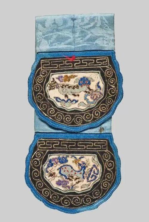 荷包型器官的图片
