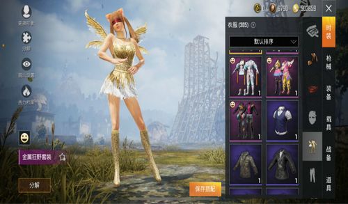 和平精英最光的衣服