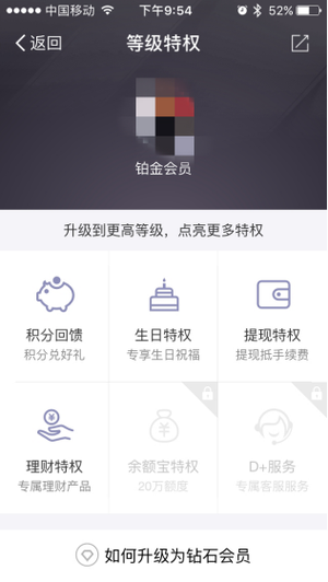 蚂蚁钻石会员难吗图标