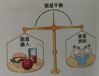维持人体活动的能量是