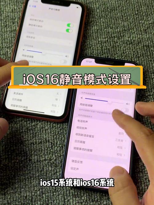 ios16设置取消键盘打字震动的步骤缩略图