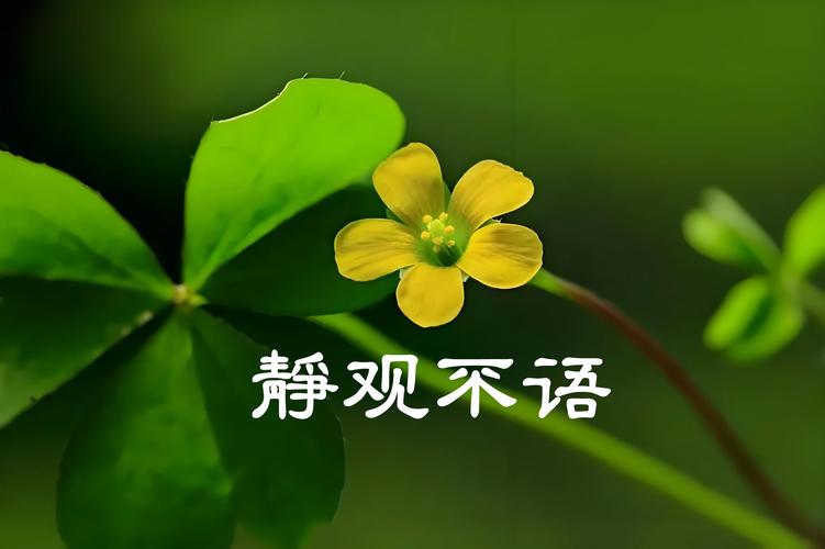 手机开了免打扰怎么联系上