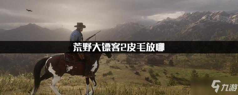大镖客皮毛在哪存