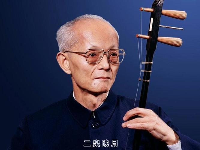 最好的二胡专用扩音器