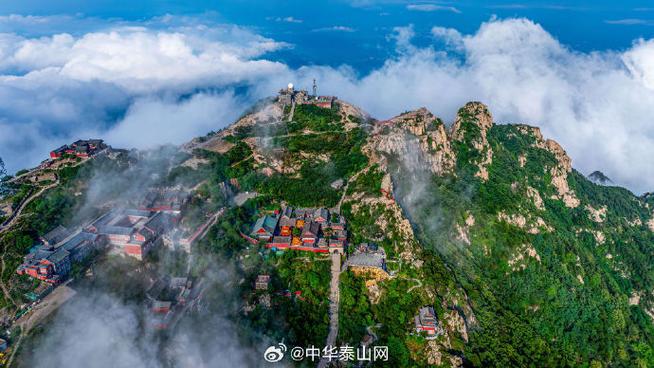 泰山网缩略图
