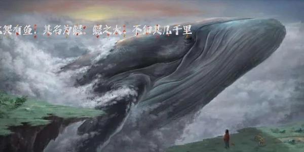 鲲一共有多少种